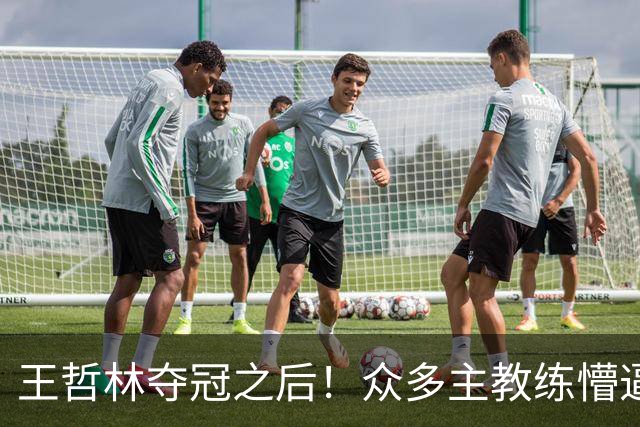 王哲林夺冠之后！众多主教练懵逼，就这个数据跟胡金秋差远了